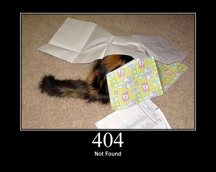 Cat unsuccessfully hiding under a stack of papers